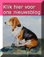 Klik hier voor ons Nieuws blog