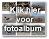 Klik hier voor het fotoalbum